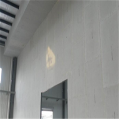 美兰新型建筑材料掺多种工业废渣的ALC|ACC|FPS模块板材轻质隔墙板